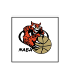 North Allegheny Basketball Association